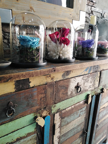 261 S120 - Industrial Area 6 - Area 6 - Sharjah