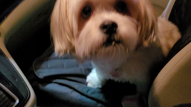 Opinii despre My Tea Cafe - Majaz , Sharjah în Sharjah - Hospitality and gastronomy