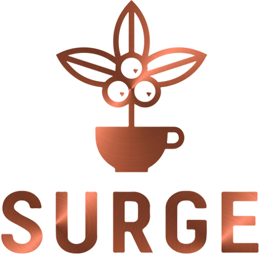 SURGE - Al Khawaneej Rd - Dubai
