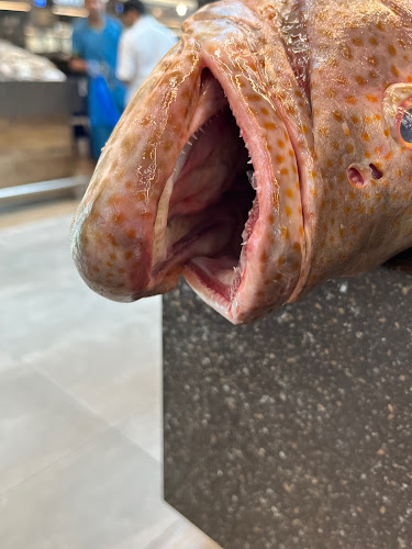 FISH MARKET - Abu Dhabi