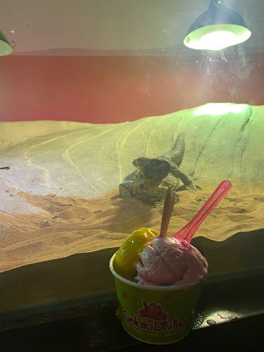 The Dubain Mall Metro Link Entrance, Level 2 - Financial Ctr St - Dubai