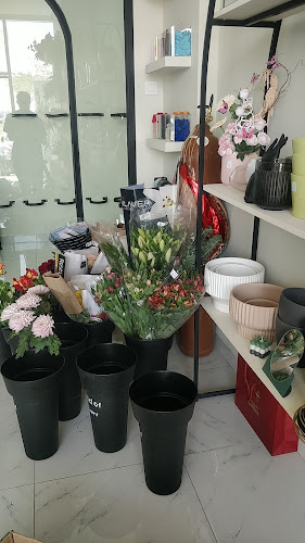 Comentarii opinii despre Vinca Flower