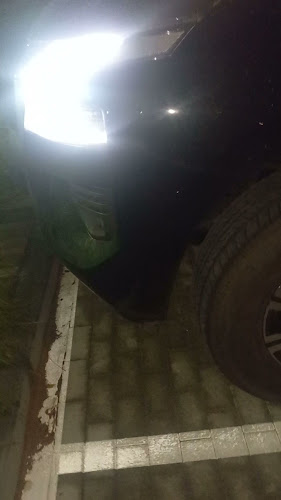 The Duck Hook - Dubai