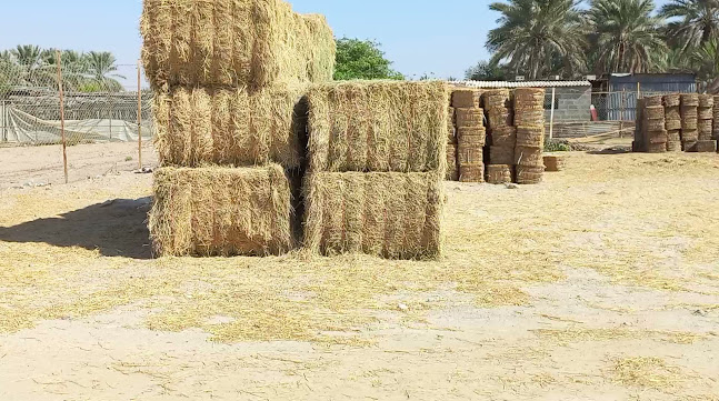 Opinii despre حلالي لتجارةالاعلاف والمواد الزراعية în Abu Dhabi - Hospitality and gastronomy