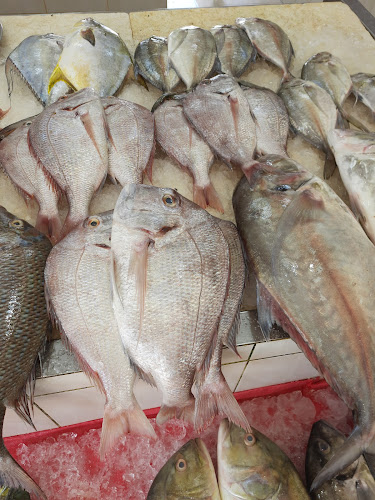 Fish And Veg MARKET NEW - Hospitality and gastronomy