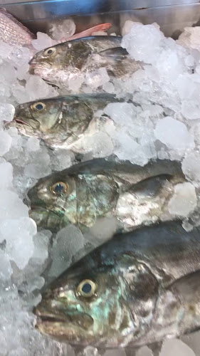 Club Vista Mare (Palm Jumeriah - Dubai