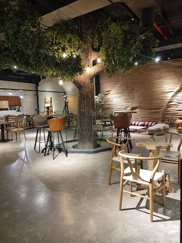 Seezn Speciality Coffee - Dubai