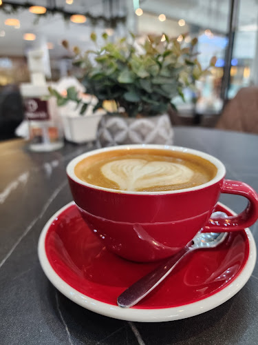 Comentarii opinii despre DXBlends Cafe - AMC Branch | دي اكس بليندز كافيه - فرع ايه ام سي