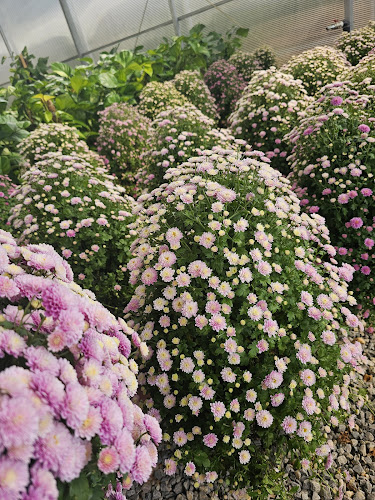 Rak mall - Al Qurum - Ras Al Khaimah