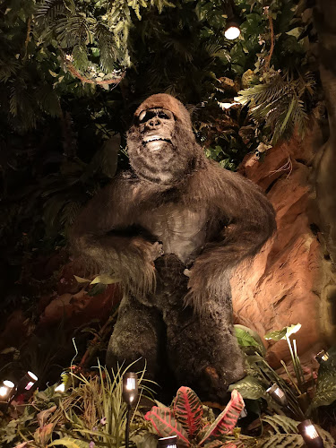 Comentarii opinii despre Rainforest Cafe | Dubai Mall