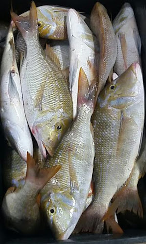 Comentarii opinii despre Tari Fresh ( Fresh Fish )