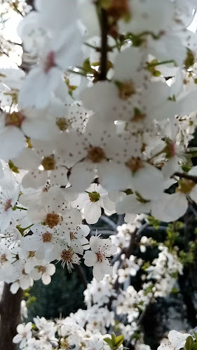 Pakistan Super Market Al Ain - Hospitality and gastronomy