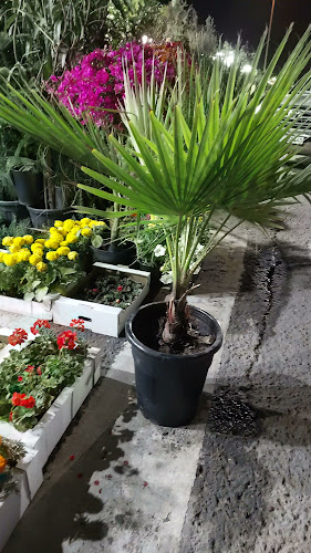 Al Doum St - Zayed Port - Harbour - Abu Dhabi