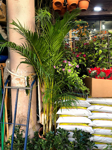 Hamad Khalid Agricultural Co LLC - Hospitality and gastronomy