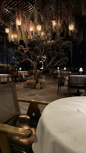 Comentarii opinii despre The bench