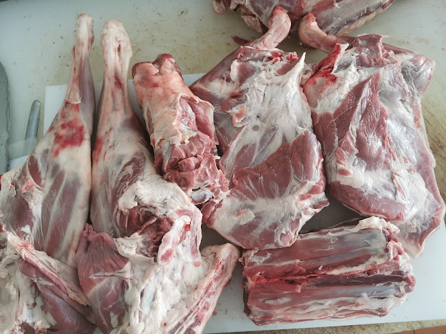 ملحمة المعلم خورفكان - Hospitality and gastronomy