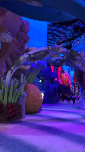 Sea World - Dubai