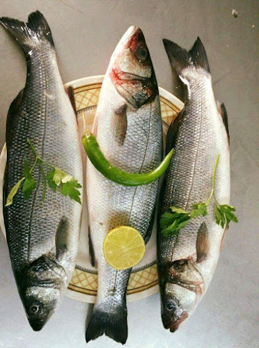 Opinii despre Al Mahla Fishes Grilling în Sharjah - Hospitality and gastronomy