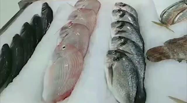 Opinii despre Tari Fresh ( Fresh Fish ) în Dubai - Hospitality and gastronomy