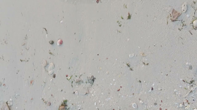 Al Roof Restaurant And Cafe - Ajman