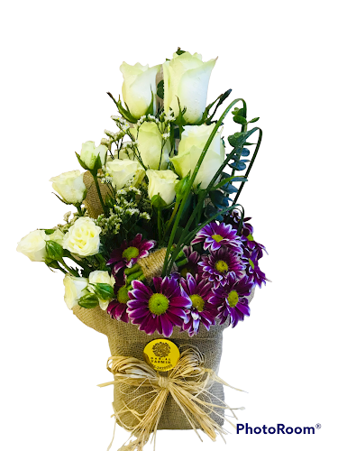 Opinii despre Dar Al Yasmin în Ajman - Hospitality and gastronomy