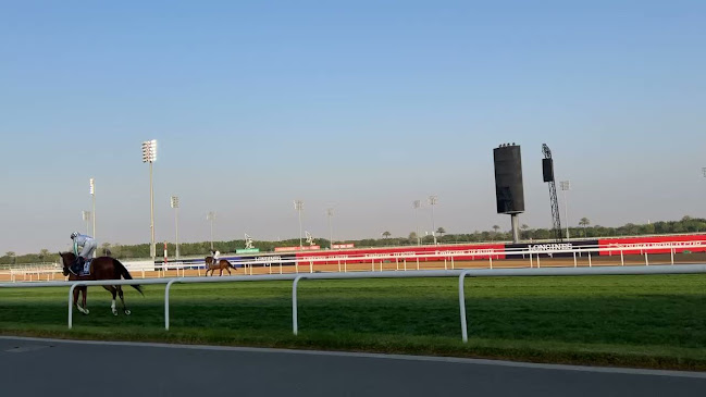 Opinii despre The Stables Dubai at Meydan World Cup în Dubai - Hospitality and gastronomy