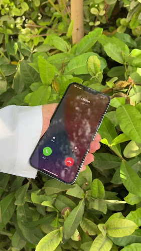 Opinii despre Oldish Restaurant în Ras Al-Khaimah - Hospitality and gastronomy