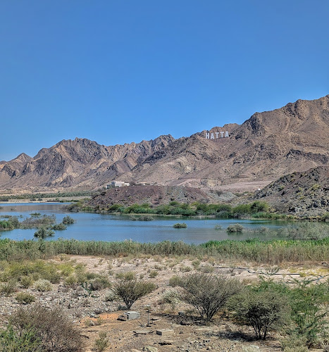 Opinii despre Barreya restaurant مطعم برية în Dubai - Hospitality and gastronomy