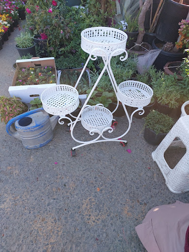 Emirates garden market