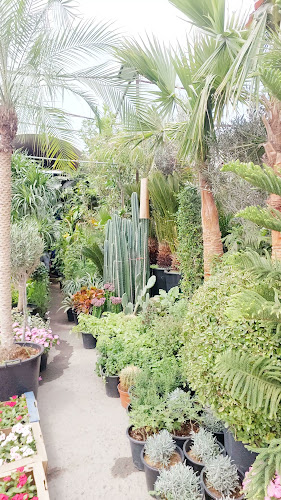 Opinii despre Emirates garden market în Abu Dhabi - Hospitality and gastronomy