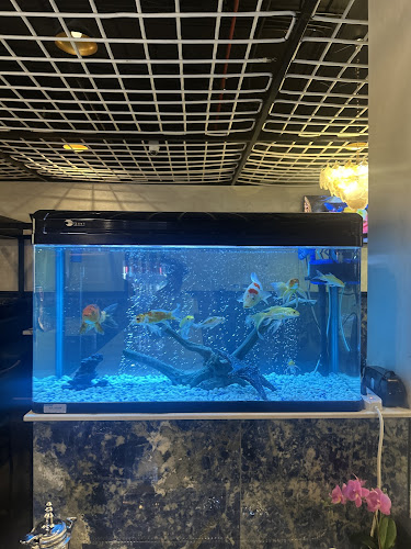 Opinii despre De Fish Seafood Restaurant Sharjah în Sharjah - Hospitality and gastronomy