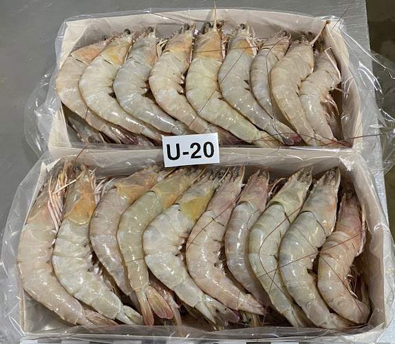 Waterfront market - fish section -499 - Deira - Dubai