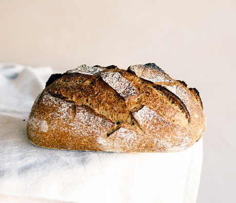 Villa 10, Plaza 30, Skh Fatima bint Mubarak St Former - Delma St - Abu Dhabi