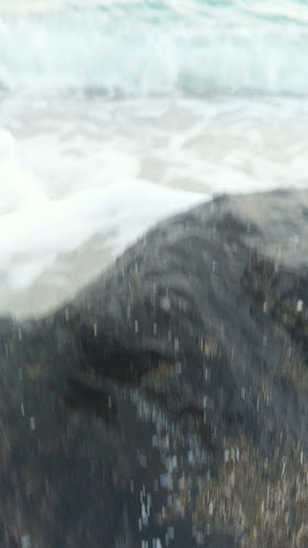 Comentarii opinii despre Al Roof Restaurant And Cafe