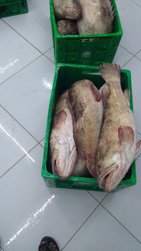 Comentarii opinii despre Al Sila Mina Fish Market