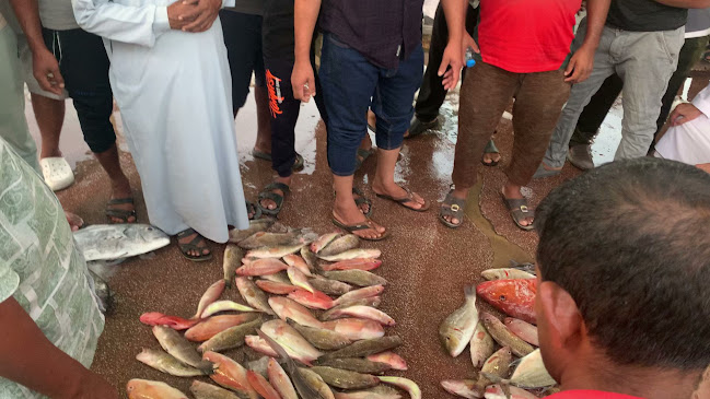 Opinii despre FRESH FISH RESTAURANT în Sharjah - Hospitality and gastronomy