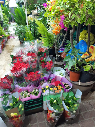 Hamad Khalid Agricultural Co LLC