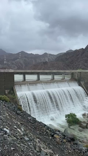 Alsad Ice cream - Hospitality and gastronomy