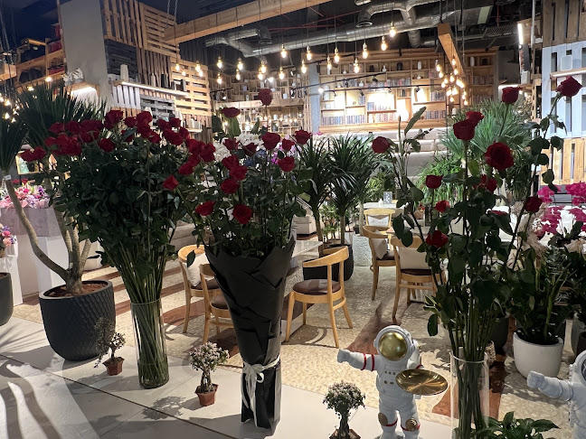 Blomma - Hospitality and gastronomy