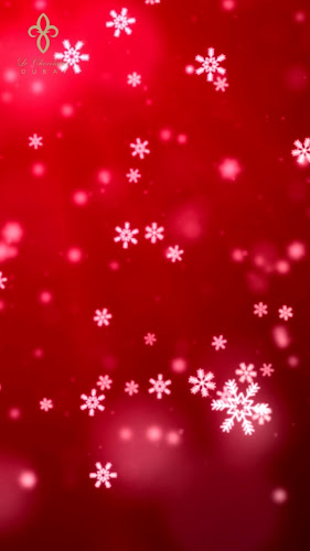 Le Chocolatier Dubai - Dubai