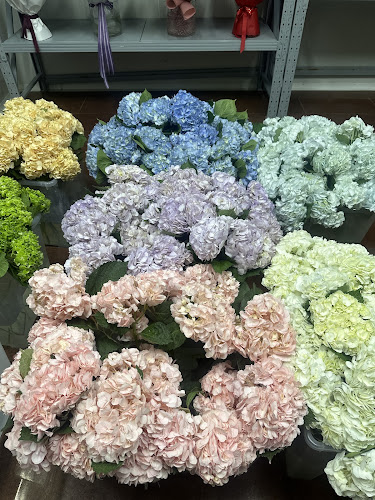 Empire of Flowers - Dubai