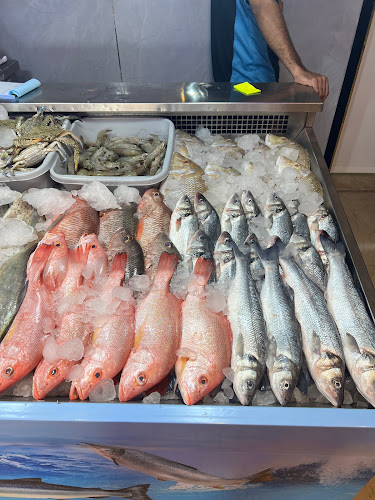 893M+94X - Bukhara St - Al Nahda - Sharjah