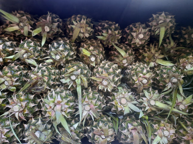 الجلي للخضروات والفواكه - Ras Al-Khaimah