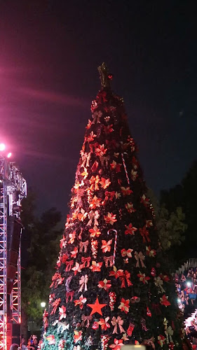 31A St - Al Garhoud - Dubai