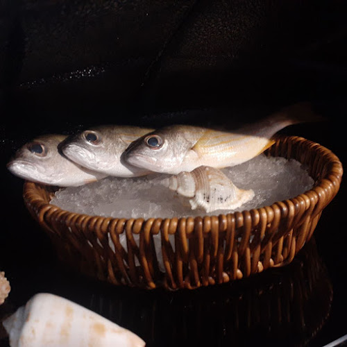 Tari Fresh ( Fresh Fish ) - Hospitality and gastronomy