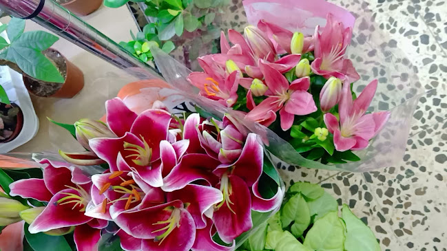 Opinii despre Emirates garden market în Abu Dhabi - Hospitality and gastronomy