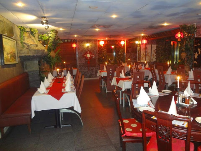 Oasis Chinese Restaurant