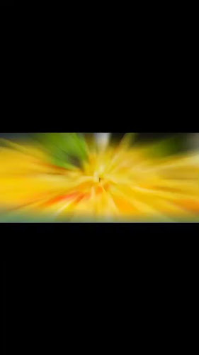 Opinii despre FOOD View RESTAURANT în Dubai - Hospitality and gastronomy