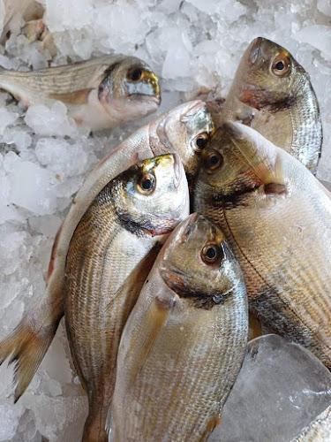 مطعم اسكندراني للأسماك والماكولات البحرية - Hospitality and gastronomy