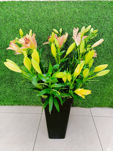 165 Ar Rahabah St - Al Tiwayya - Al Mahatta - Abu Dhabi